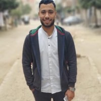 Mostafa Elsherbiny