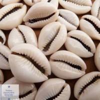 Ọládélé Akinwùnmí