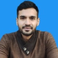 Muhammad Anees Abid