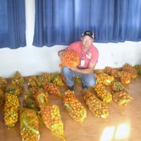 Francildo Ferreira Fernandes