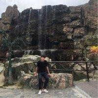 田武强