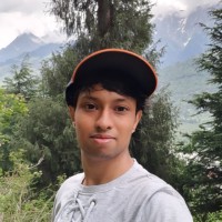 Parth Mishra