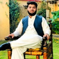 Amir Hamza