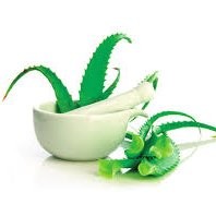 Pharmacognosy And Phytochemistry