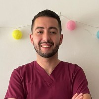 Fabian Mansilla Carcamo