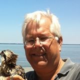 Rob Olin