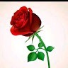 Love Fiel