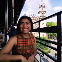 Ana Laura Cruz F.