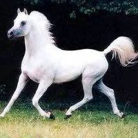 Zeinab_ Abdelftah