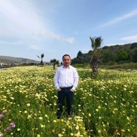 mikail güler
