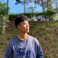 Le Hong Linh