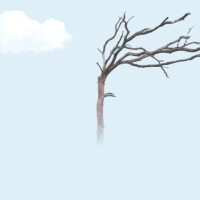 刘文义