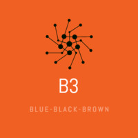 Blue Black Brown B3