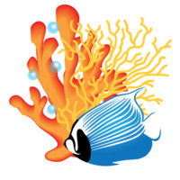 Saltwater Solutions