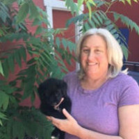 Sue Davy
