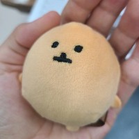 정은비