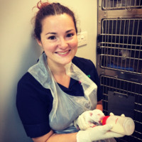 Charlotte Lamb
