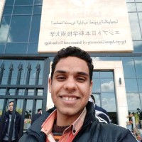 Mohamed El Nozahy