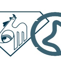 Setareh Kian and Morghe Madar Co.