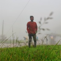 Parthasaradhi K