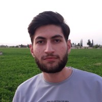 Muhammad Anas Darwish