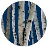 Clayton Birch