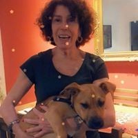 Sandra Bendayán