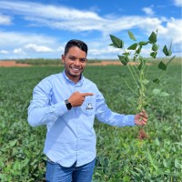 Luis Guilherme Tertuliano