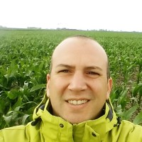 alejandro signorelli