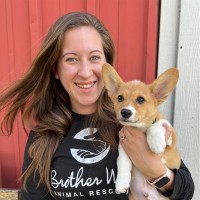 Sara Groce