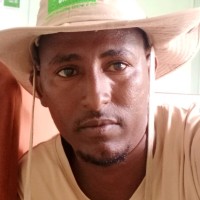 Dido Mamo