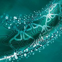 Phoenix Technologies