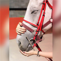 Shayma’a Alandejani