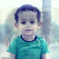 إبراهيم الشكري