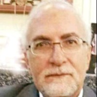 alireza vahidi