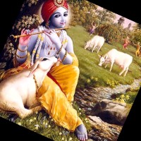 Kiran Ashok