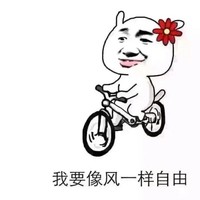 苏智豪