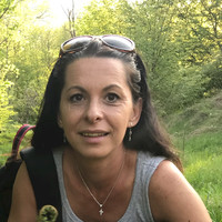 Dana Draghici