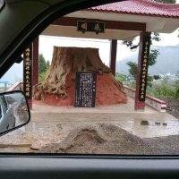 雷建林