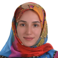 Mahboubeh Rahimi