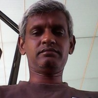 frank nonis