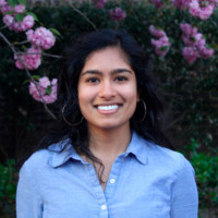 Sandhya Kajeepeta, Phd