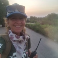 Teresa Shiflett