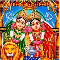 Vaja Hiren