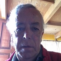 Carlos Medellín González