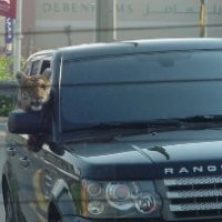 Mana Al Shamsi