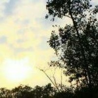 Noh Zakaria Silence Endless