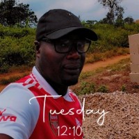 Akinola. S Akintayo Iroko