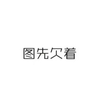 苗洋洋