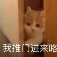 朱海运
